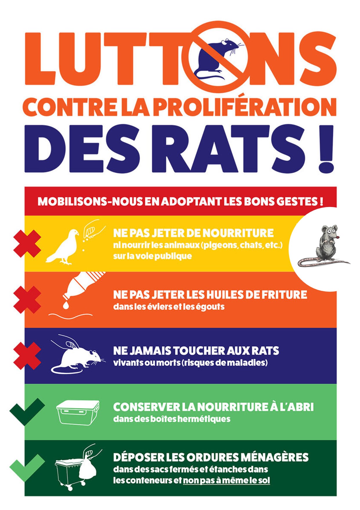 prolifération des rats